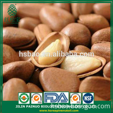 Wholesale Solar Energy Price Open Pine Nuts in Shell